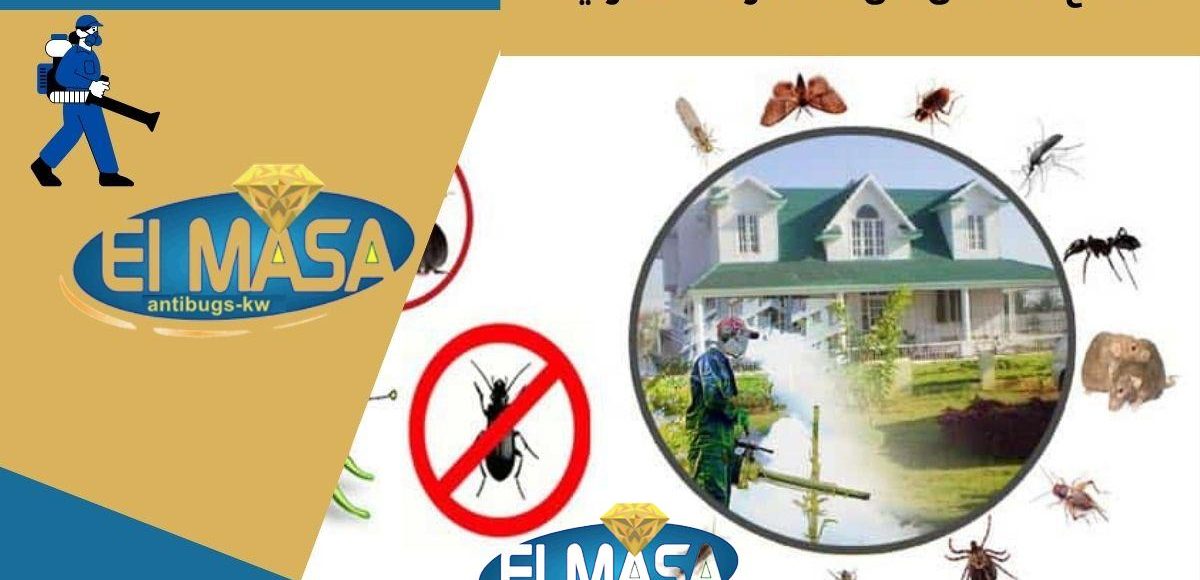 نصائح التخلص من الحشرات المنزلية