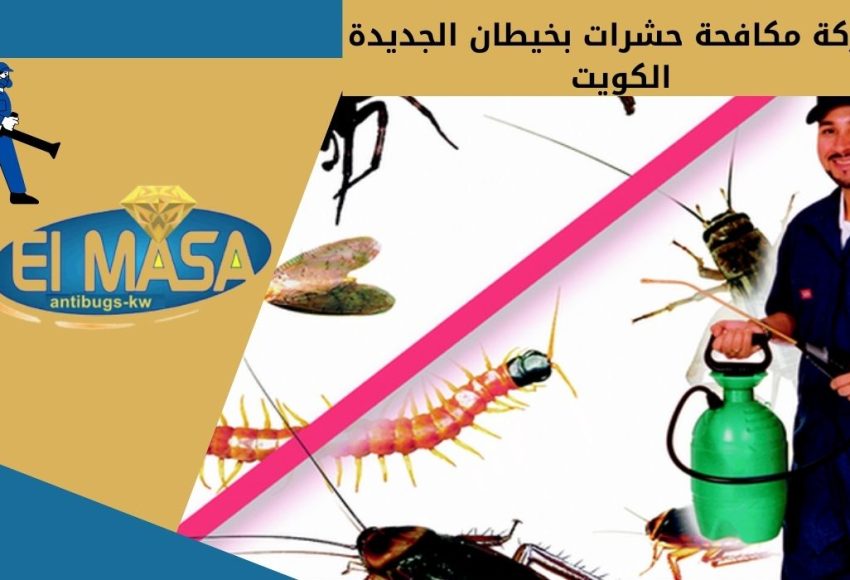 شركة مكافحة حشرات بخيطان الجديدة الكويت
