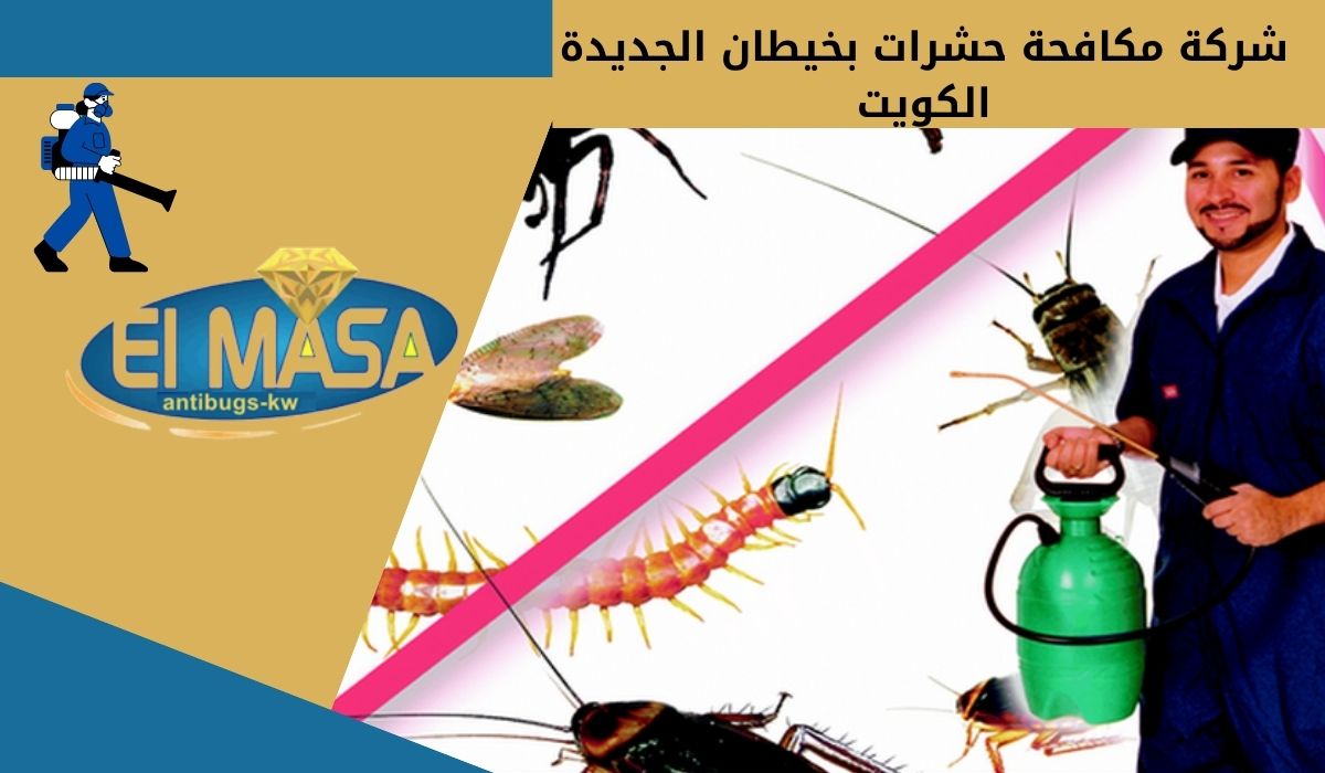 شركة مكافحة حشرات بخيطان الجديدة الكويت