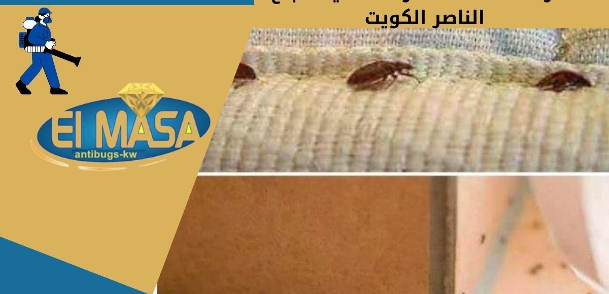 شركة مكافحة حشرات ضاحية صباح الناصر الكويت