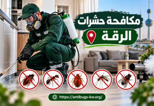 مكافحة حشرات الرقة