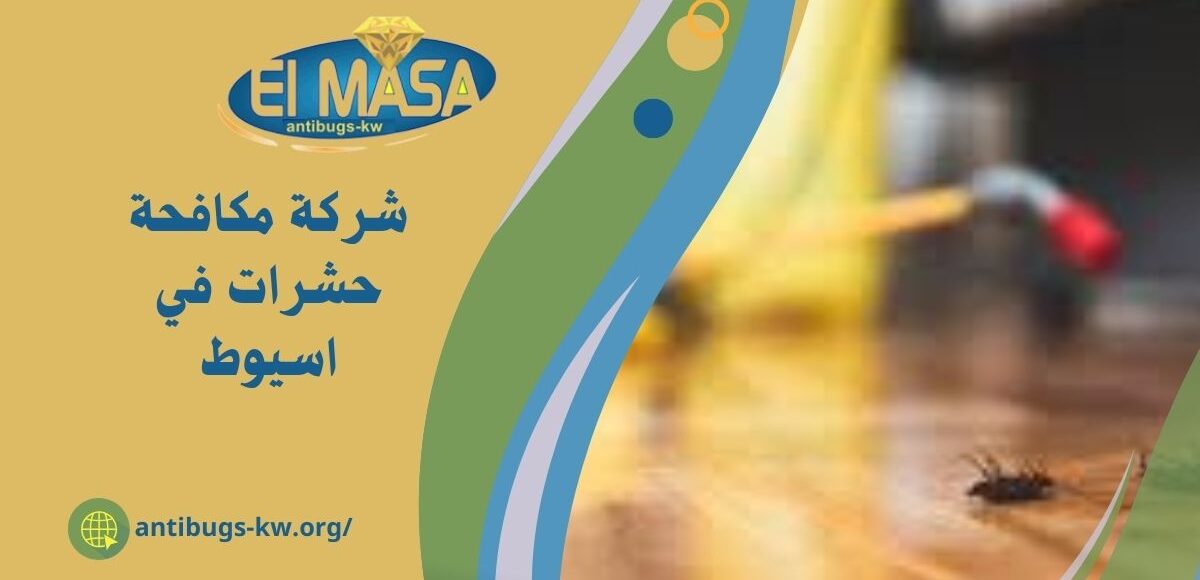 شركة مكافحة حشرات - المخاطر الصحية المرتبطة بالحشرات