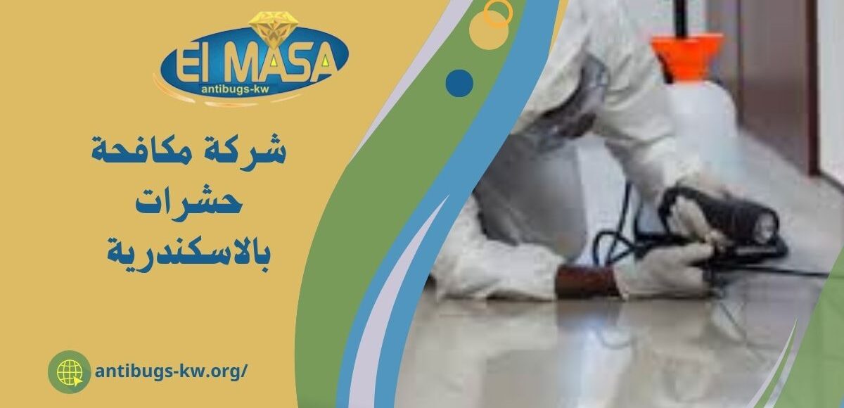 شركة مكافحة حشرات بالاسكندرية