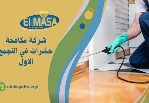 شركة مكافحة حشرات في التجمع الاول