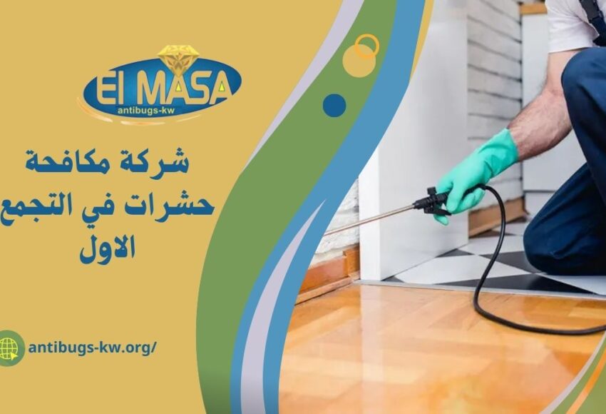 شركة مكافحة حشرات في التجمع الاول