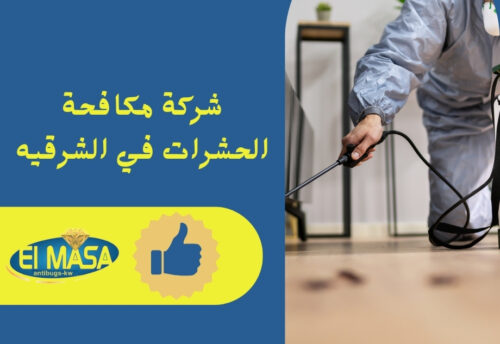 شركة مكافحة الحشرات في الشرقيه