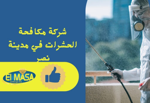 شركة مكافحة الحشرات في مدينة نصر