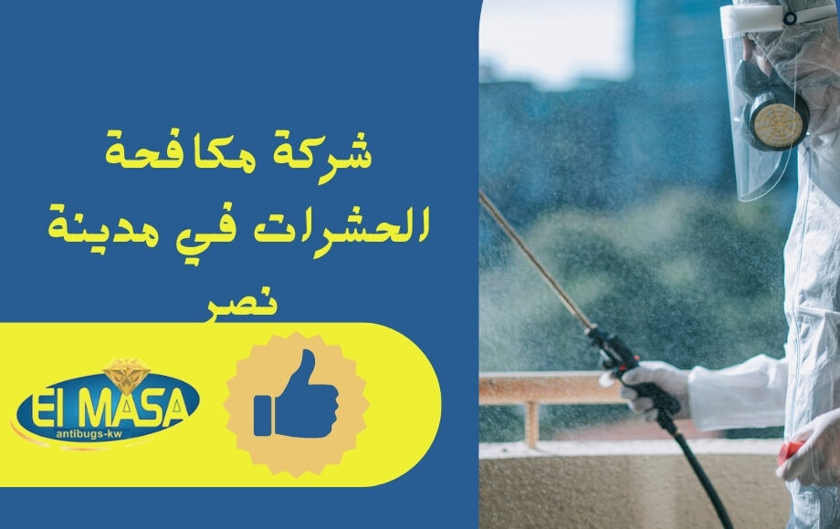 شركة مكافحة الحشرات في مدينة نصر