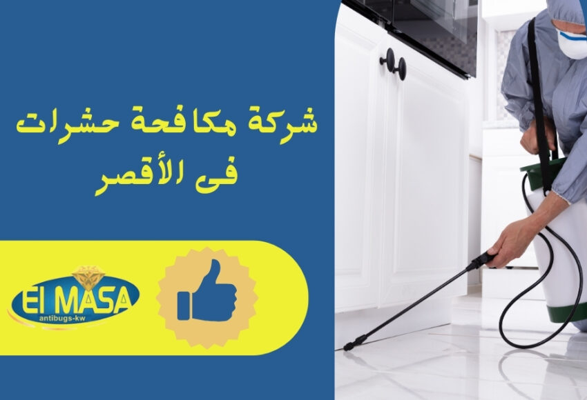 شركة مكافحة حشرات فى الأقصر