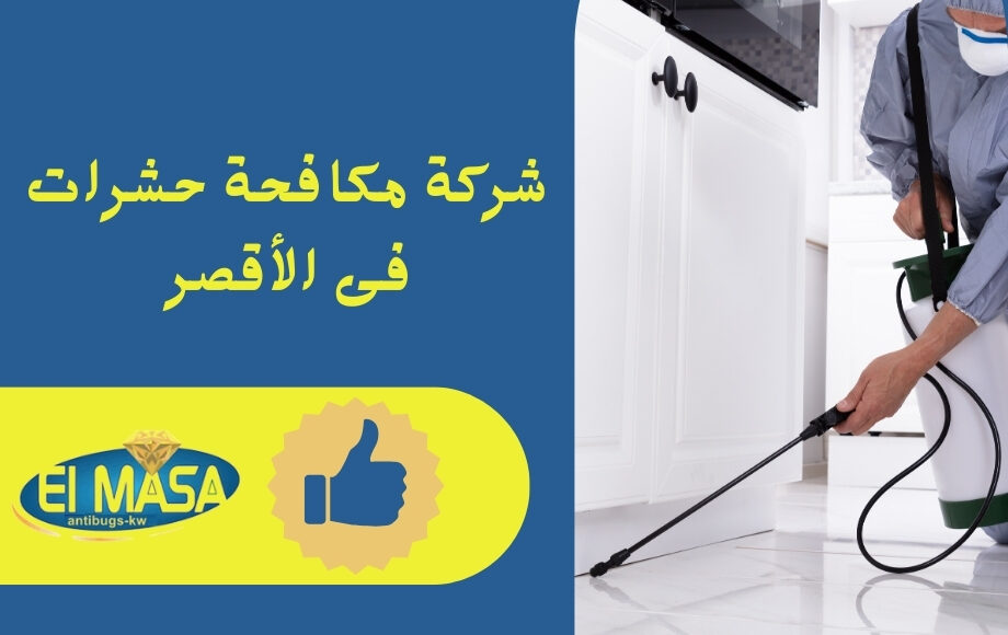 شركة مكافحة حشرات فى الأقصر