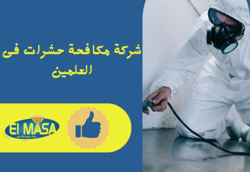 شركة مكافحة حشرات فى العلمين