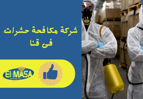 شركة مكافحة حشرات فى قنا