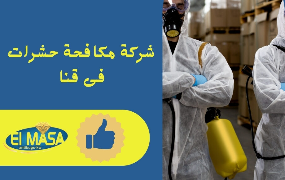 شركة مكافحة حشرات فى قنا