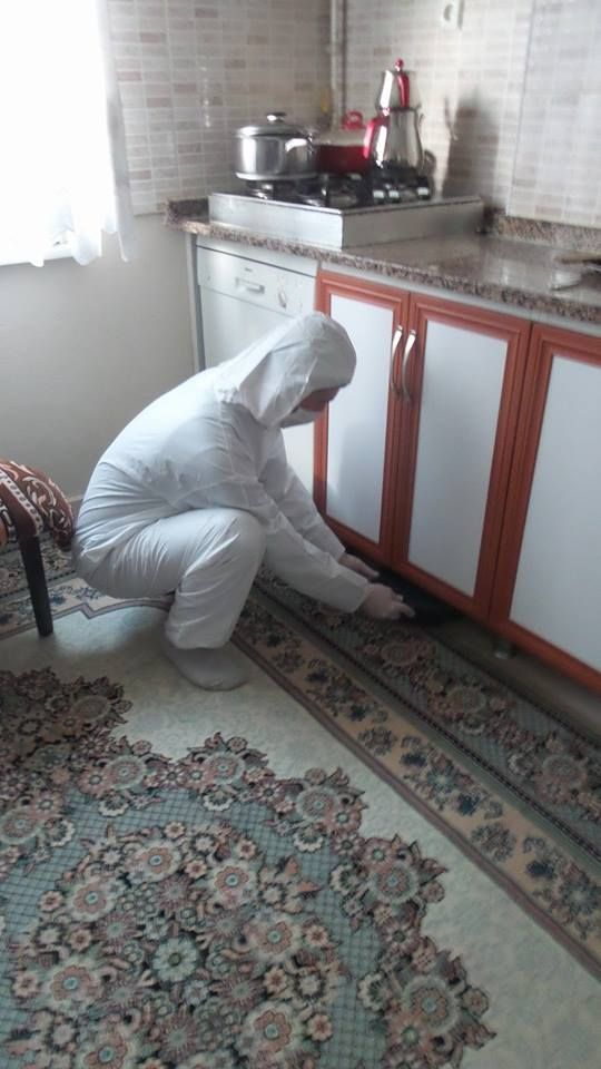 مبيدات حشرية منزلية في حلوان