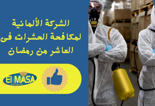 الشركة الألمانية لمكافحة الحشرات فى العاشر من رمضان