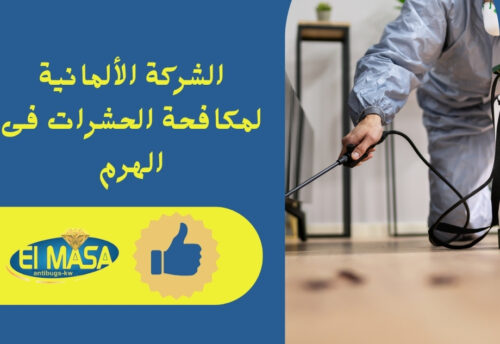 الشركة الألمانية لمكافحة الحشرات فى الهرم