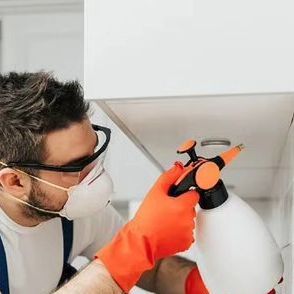 شركة مبيدات حشرية فى جاردن سيتي