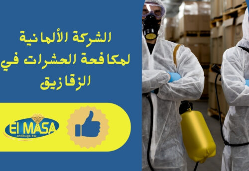 ما هي الشركة المعنية بمكافحة الحشرات في الزقازيق؟ الشركة الألمانية لمكافحة الحشرات هي شركة متخصصة في تقديم خدمات مكافحة الحشرات في الزقازيق.
