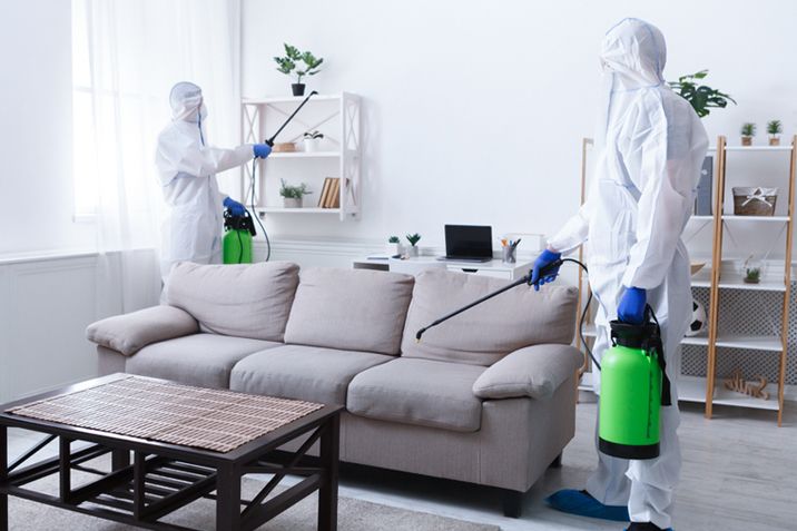 أفضل شركة ابادة حشرات فى الوراق