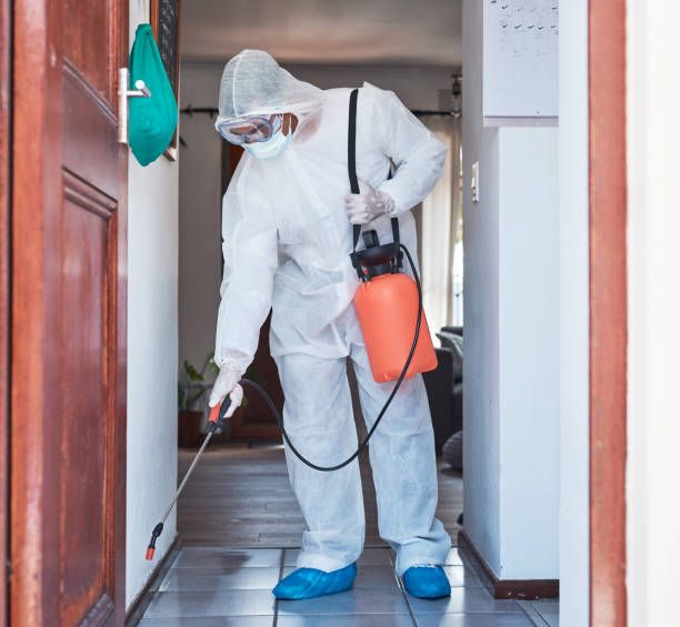 رش مبيدات حشرية فى شبرا مصر