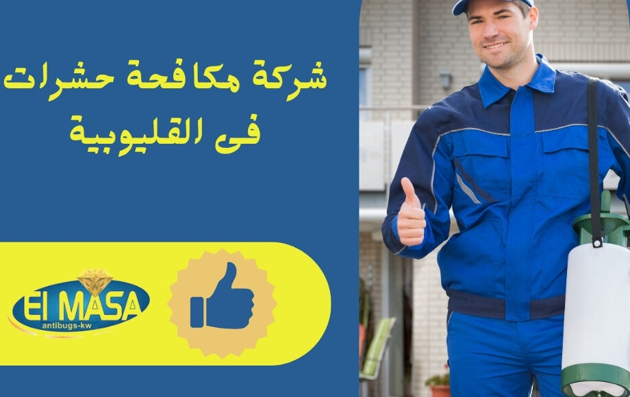 شركة مكافحة حشرات فى القليوبية