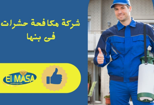 شركة مكافحة حشرات فى بنها