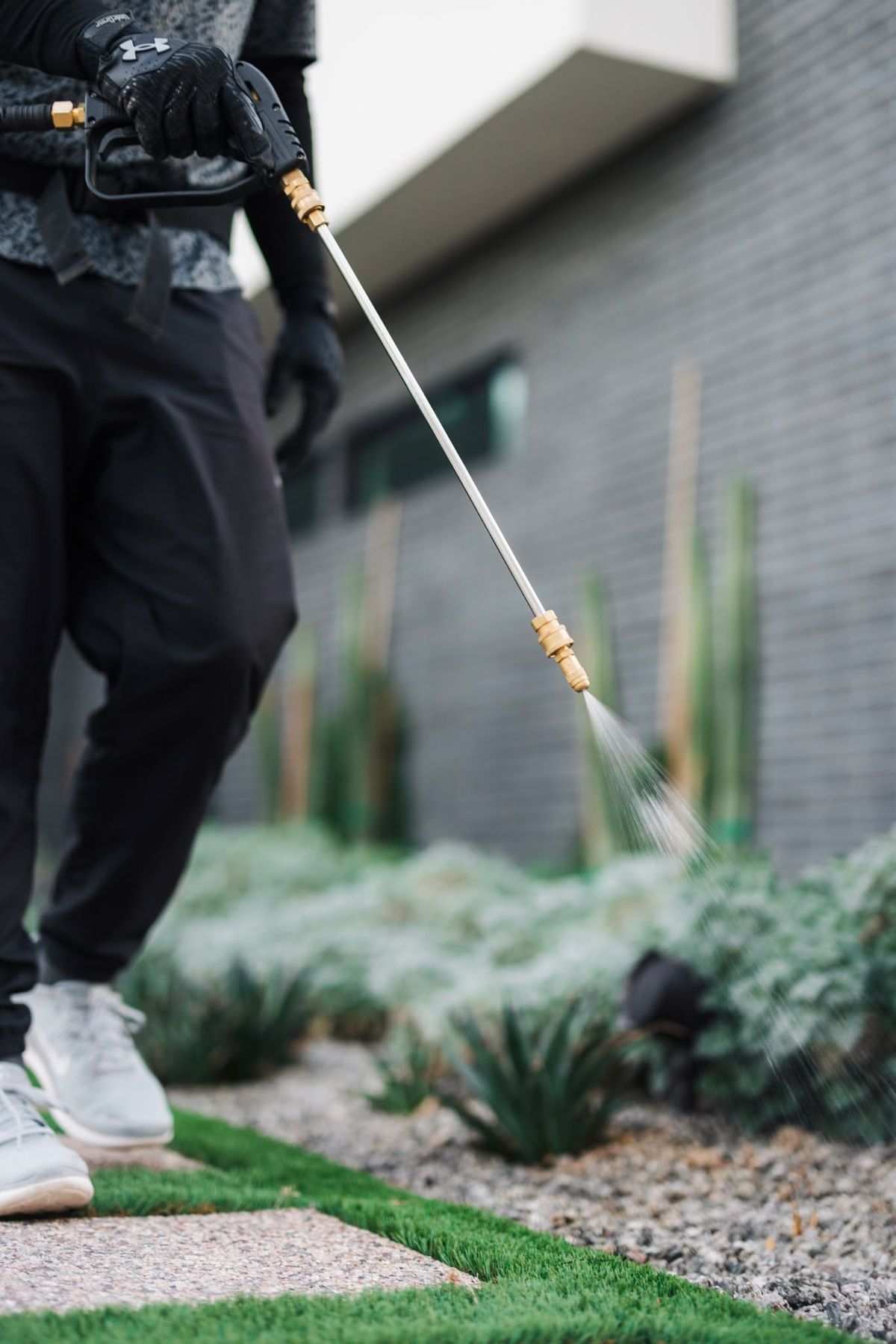 شركة مكافحة حشرات فى دمياط 14 شركة مكافحة حشرات فى دمياط