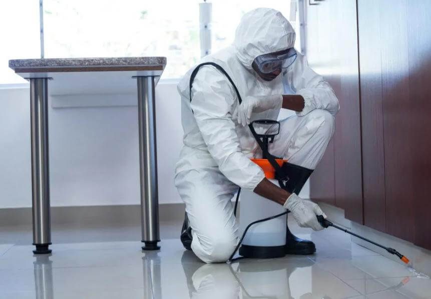 شركه مكافحة حشرات فى الوراق 25 شركه مكافحة حشرات فى الوراق