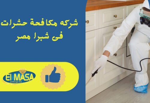 شركه مكافحة حشرات فى شبرا مصر