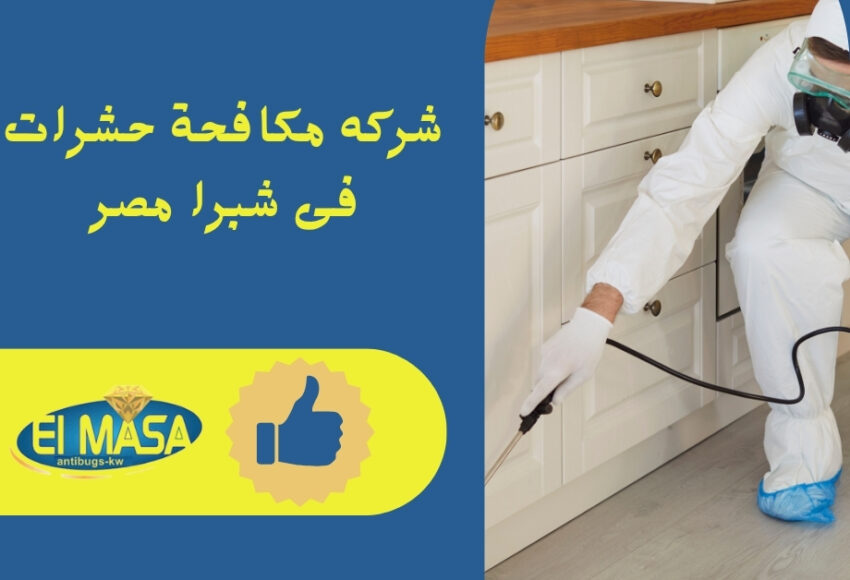 شركه مكافحة حشرات فى شبرا مصر