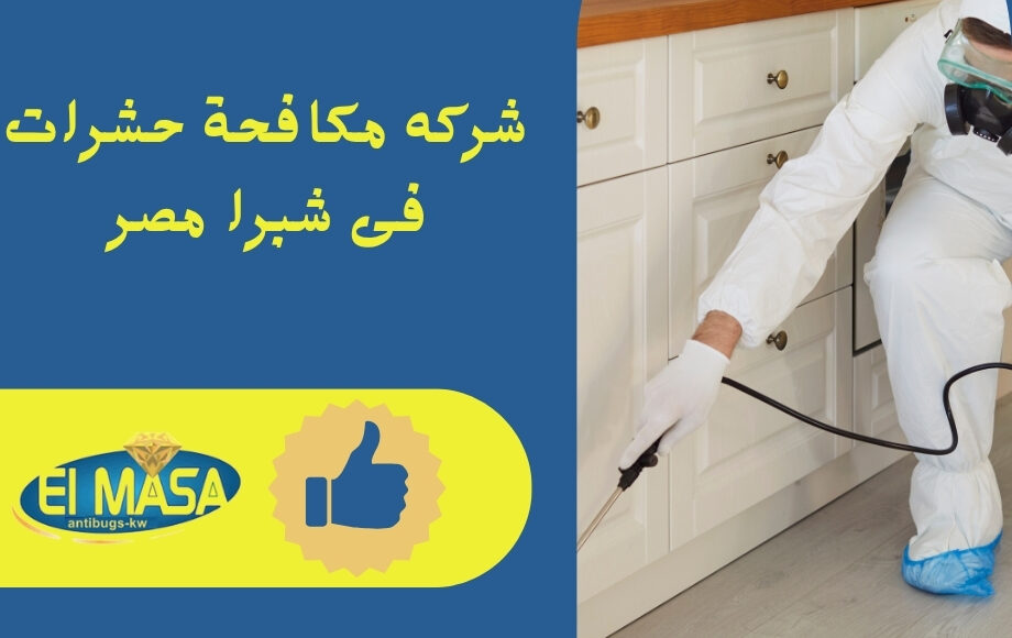 شركه مكافحة حشرات فى شبرا مصر