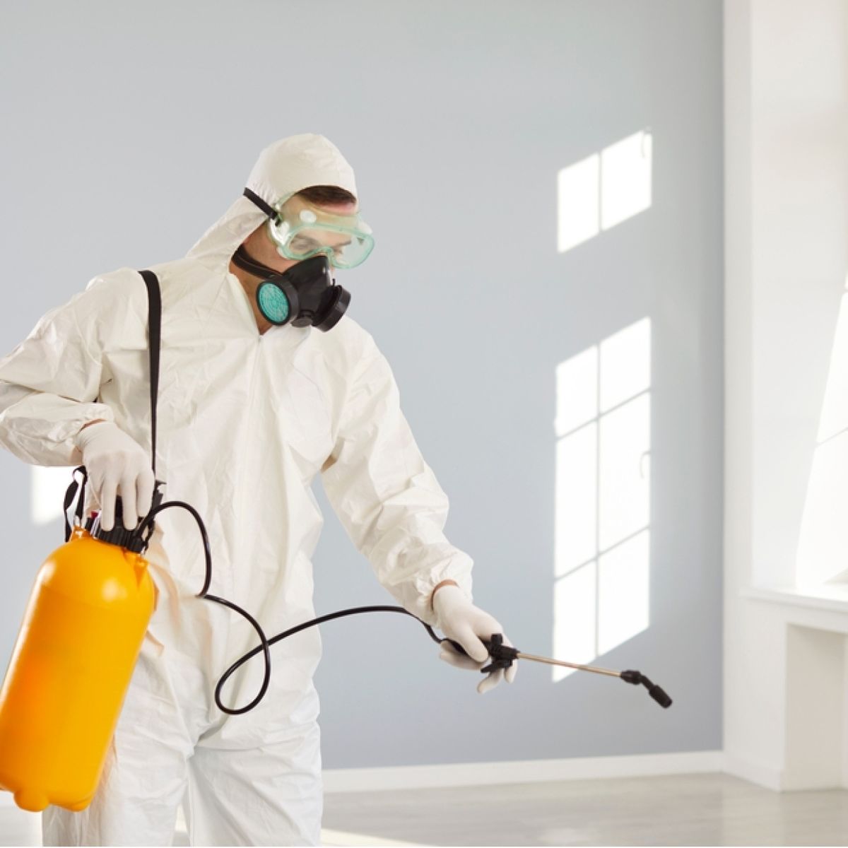 شركه مكافحة حشرات فى عزبه النخل