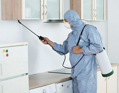 شركه مكافحة حشرات في عين شمس