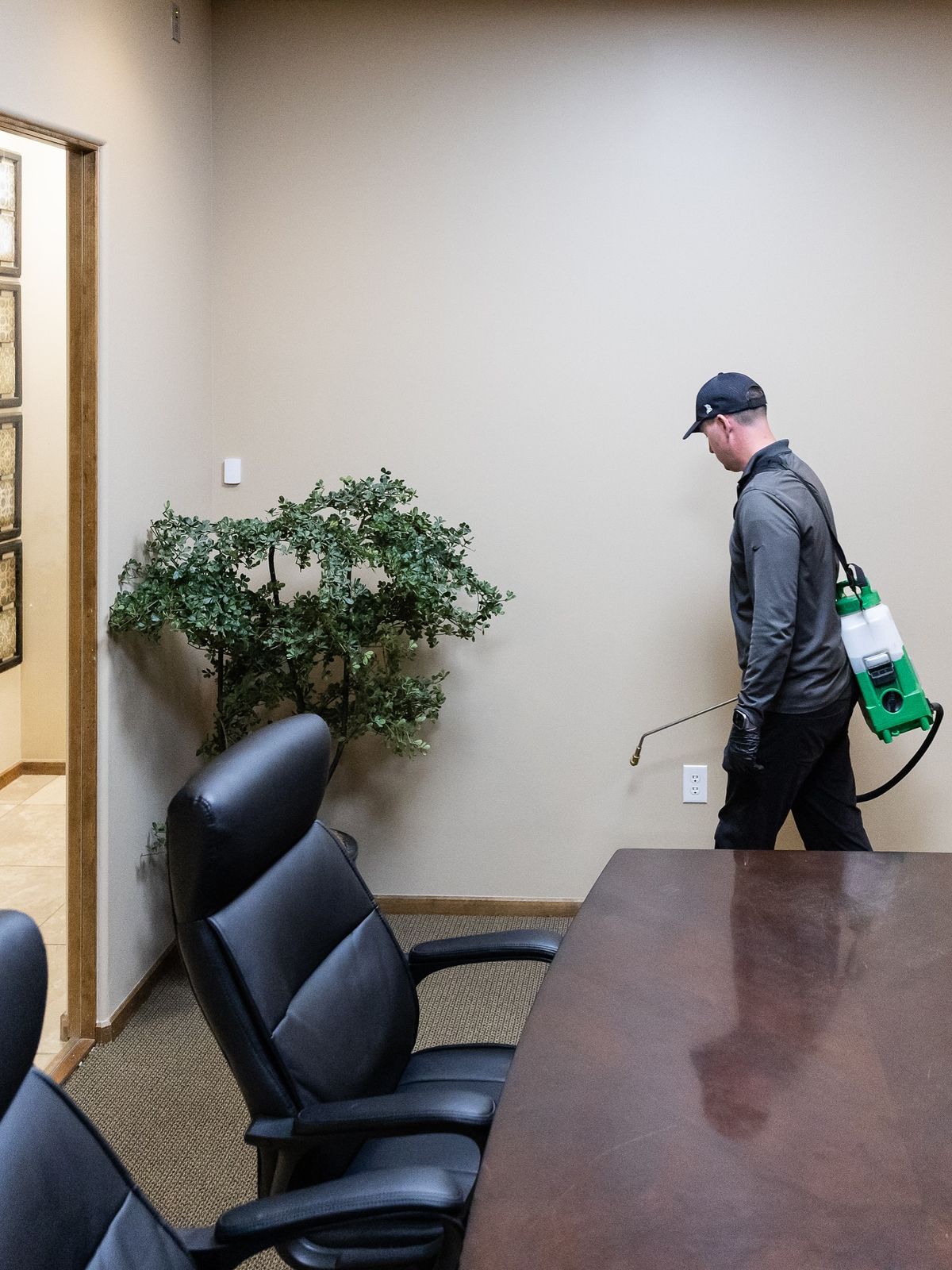 شركة مكافحة حشرات فى دمياط 15 كيفية اختيار أفضل شركة مكافحة حشرات في دمياط