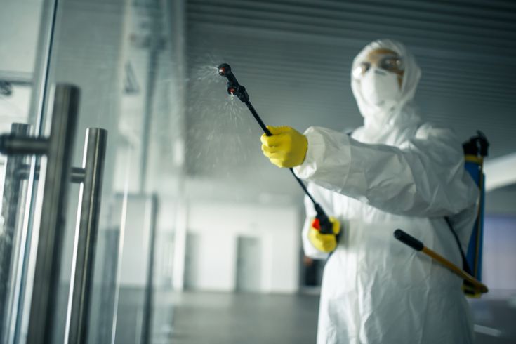 مميزات شركه مكافحة حشرات فى شبرا مصر