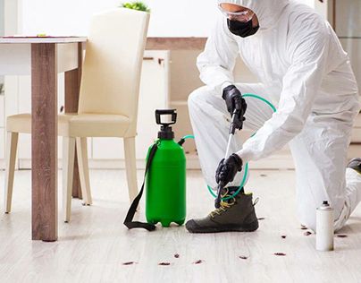 أفضل شركة ابادة حشرات في زهراء المعادي   