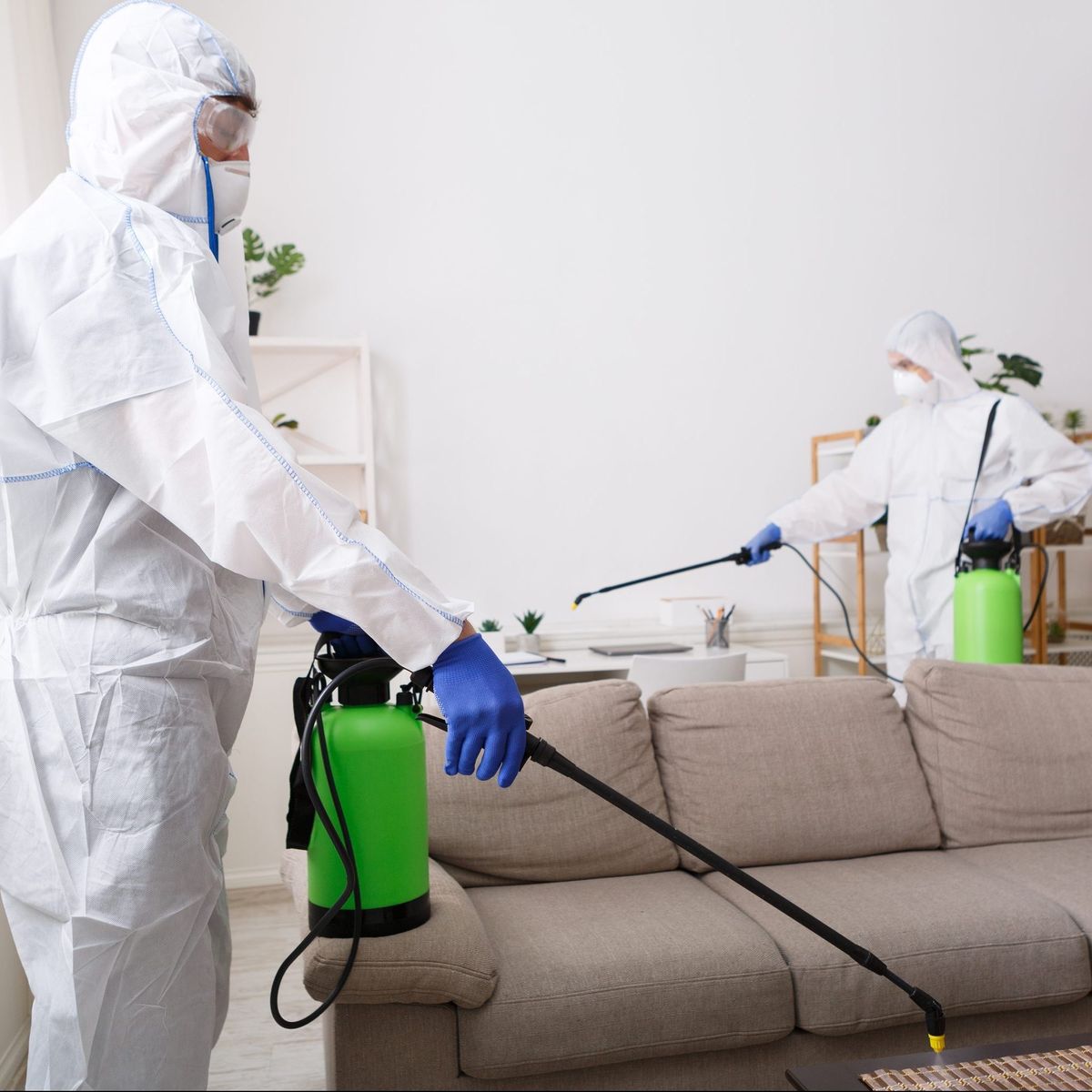 ابادة الحشرات في العمرانية