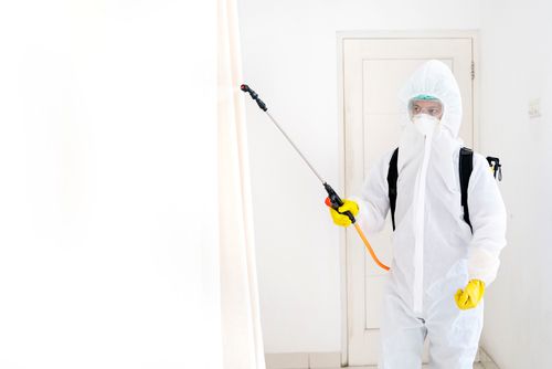 ابادة الحشرات في المنيب