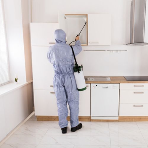 الشركة الالمانية لمكافحة الحشرات في القنطرة غرب 10 اتصلي الآن بـ الشركة الالمانية لمكافحة الحشرات في القنطرة غرب