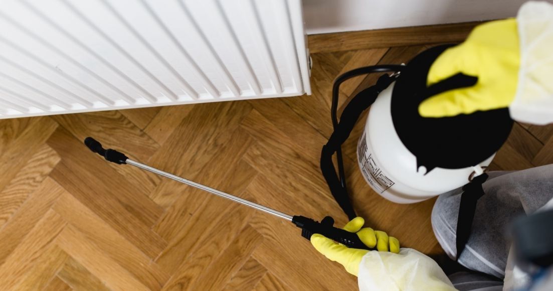 اتصلي الآن بـ الشركة الالمانية لمكافحة الحشرات في جامعة الدول واحجزي خدمة سريعة مضمونة قبل تفاقم المشكلة