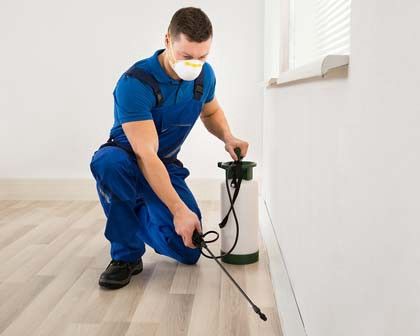الشركة الالمانية لمكافحة الحشرات في اكتوبر 16 احجز الآن مع الشركة الالمانية لمكافحة الحشرات في اكتوبر
