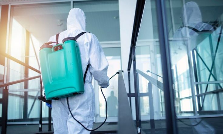 احجز الآن وتخلص من البق نهائيًا — مكالمة واحدة تفصل بينك وبين الراحة