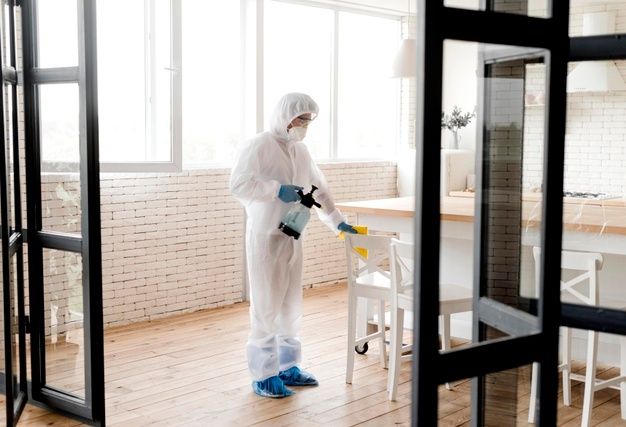 افضل شركة مكافحة الحشرات في القنطرة شرق