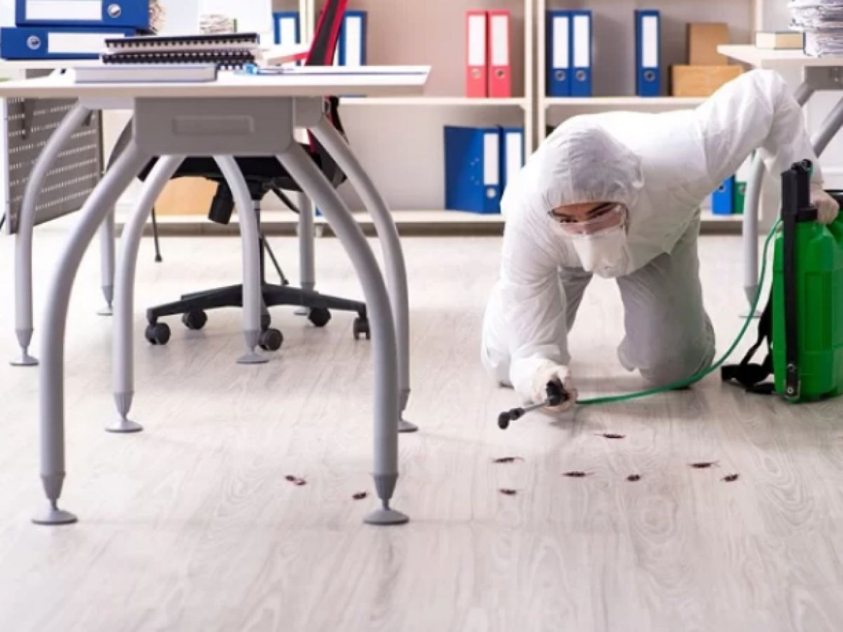 افضل شركة مكافحة حشرات في لساحل الشمالي   