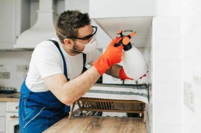 الشركة الالمانية لمكافحة الحشرات في اكتوبر 22 الشركة الالمانية لمكافحة الحشرات في اكتوبر