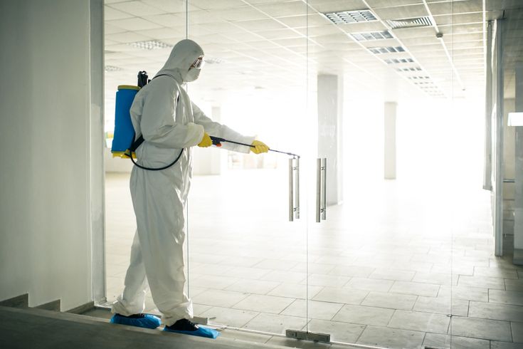 الشركة الالمانية لمكافحة الحشرات في الساحل الشمالي