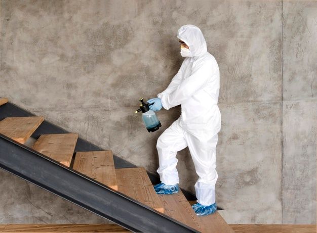 الشركة الالمانية لمكافحة الحشرات في القنطرة شرق