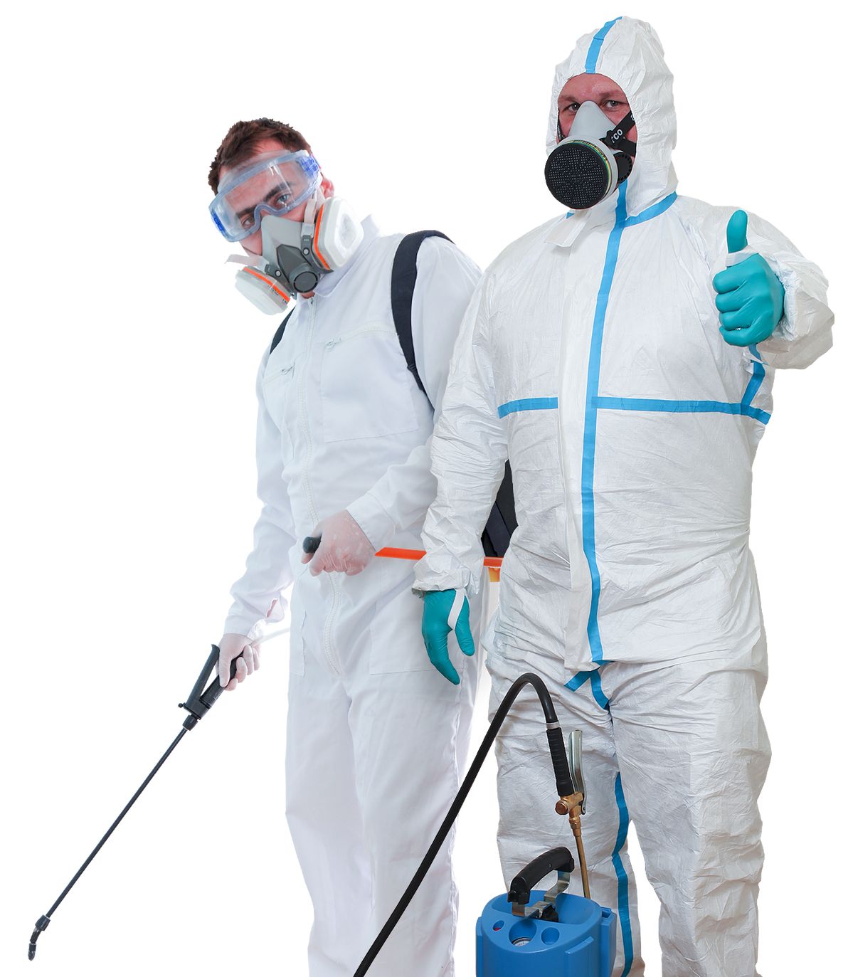 الشركة الالمانية لمكافحة الحشرات في القنطرة