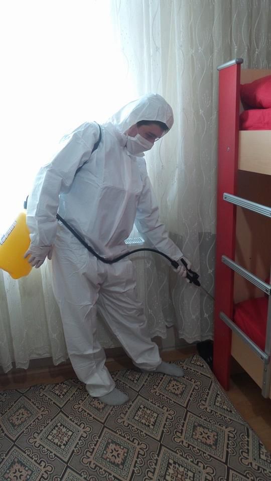 الشركة الالمانية لمكافحة الحشرات في لساحل الشمالي 