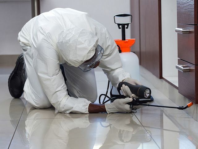 تنظيف حشرات في العمرانية